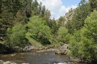Pineview Rock Gage