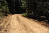 The Road Into the McCloud River