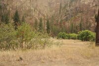 Spring Creek Campground and River Access