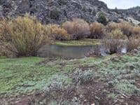 Deep Creek at Mud Flat Rd