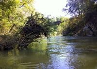 Cedar Creek Railroad Bridge