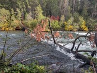 Log below large log jam near takeout