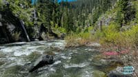 Typical Rapids/Scenery