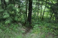 Kayaker Portage Trail Up to the Road