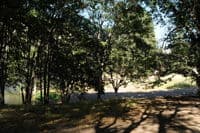 Fishing Access #1