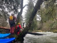 First log