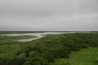 Meshik River Lower Reaches