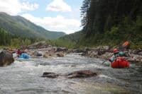 Approaching Spruce Park Series