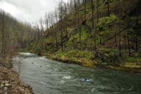 Clackamas River Below Hole in the Wall
