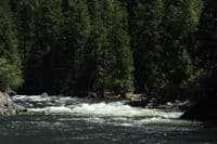Termination Rapid