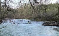 Blackwell Rapid
