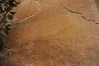 Cow Petroglyph