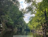 Flatwater section facing towards pond
