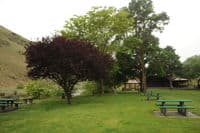 Lawn in the Riggins Park