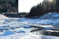 Treefall river right