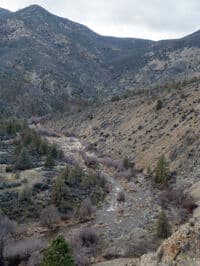 Shasta River at 350 cfs