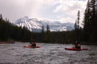 Paddle Out