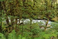 River View Below Gold Creek
