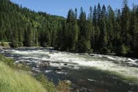 Morning Glory Rapid