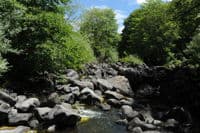 Riverbed Near Copco Dam