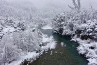 North Fork Salmon River in Forks of Salmon