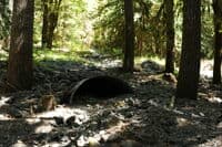 Plugged Culvert