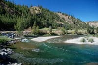 Methow River Near McFarland Creek