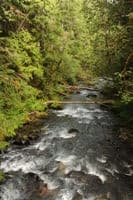 View Looking Downstream From Bridge