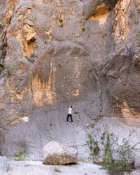 Alec in El Guero