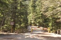Forest Road Bridge