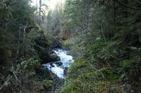 Glimpses Into the Gorge Above Ranger Hole