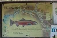 Clearwater River Map