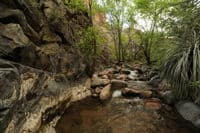 Coon Creek
