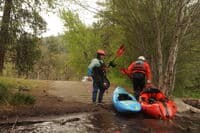 Taking Out at Leidl