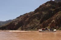 Kolb Rapid