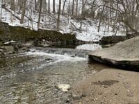 Utility Transect