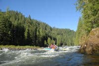 Unnamed Rapid