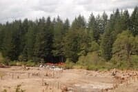Restoring the Channel in the Former Reservoir