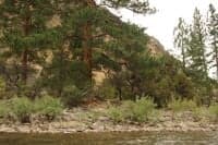 Short Creek Camp