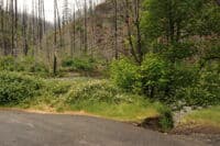 Trail at Big Cliff