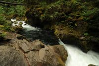 North Fork Umpqua Above Toketee 