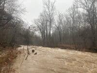 South Fork Little