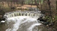 First Whitnall Park Dam