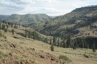 Day 2 Camp Hike