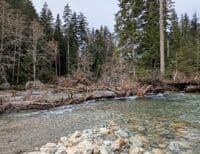 Current pushes river right