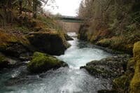 Forest Road 2620 Bridge