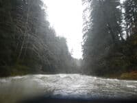 Cruising Down the Sol Duc at High Flow