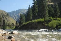 South Fork Salmon Trail (#122) Bridge at Porphyry Creek