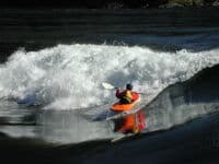 Surfing Skook