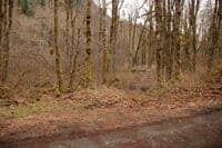 Access From Forest Road 2620